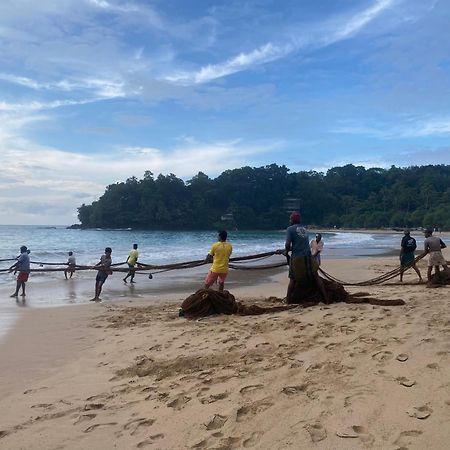 Talalla Ocean Beach Bungalow Matara Ngoại thất bức ảnh