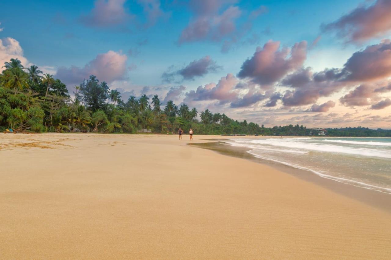 Talalla Ocean Beach Bungalow Matara Ngoại thất bức ảnh