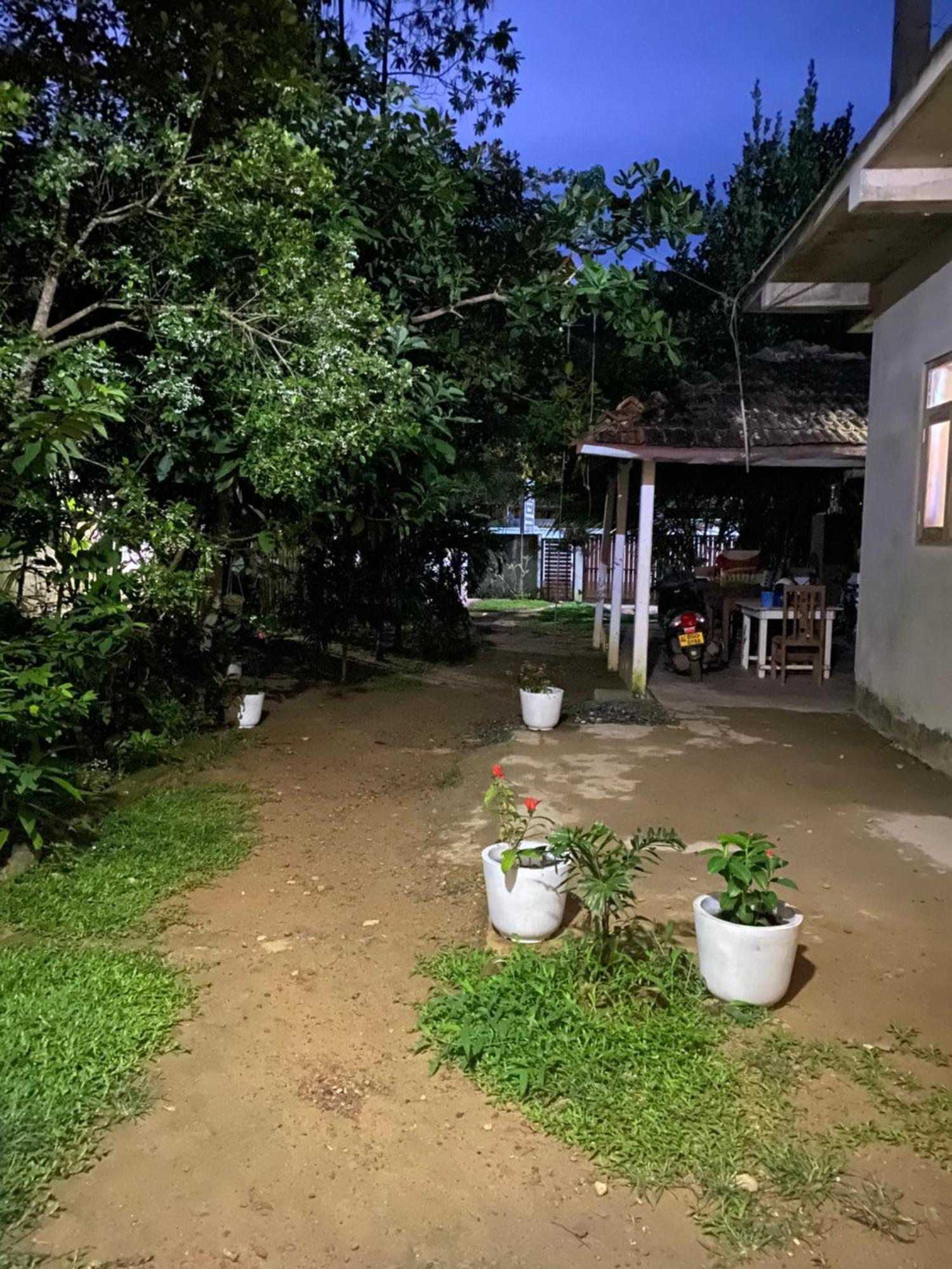 Talalla Ocean Beach Bungalow Matara Ngoại thất bức ảnh